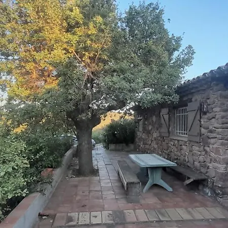 Vasken Roquebrune-sur Argens